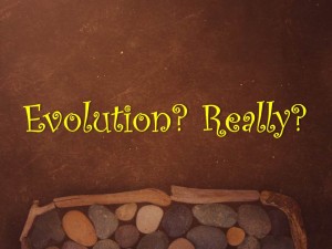 Evolution Article