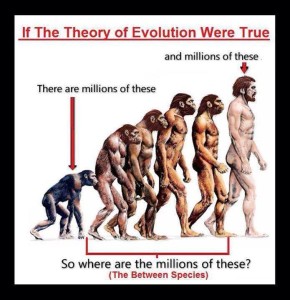 no-evolution